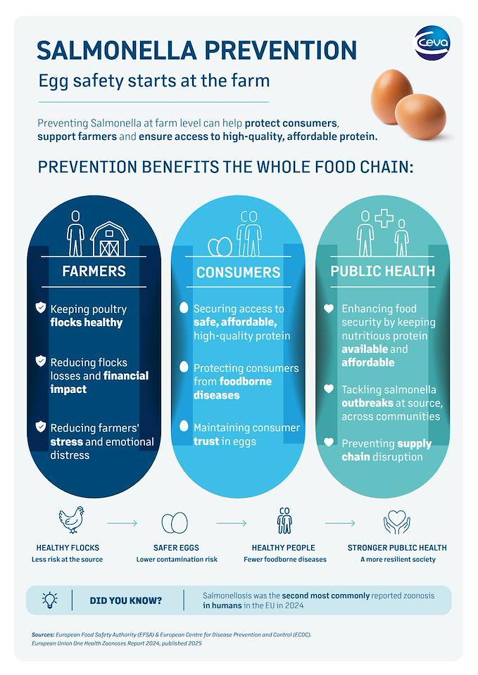 Strengthening the Salmonella Control Chain: Prevention from Farm to Fork