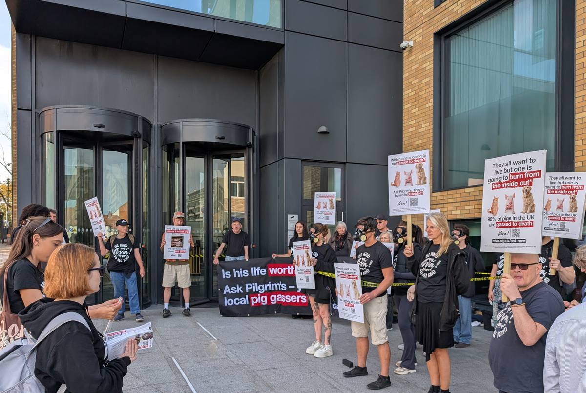 Protesters holding placards gathered outside the Pilgrim's headquarters