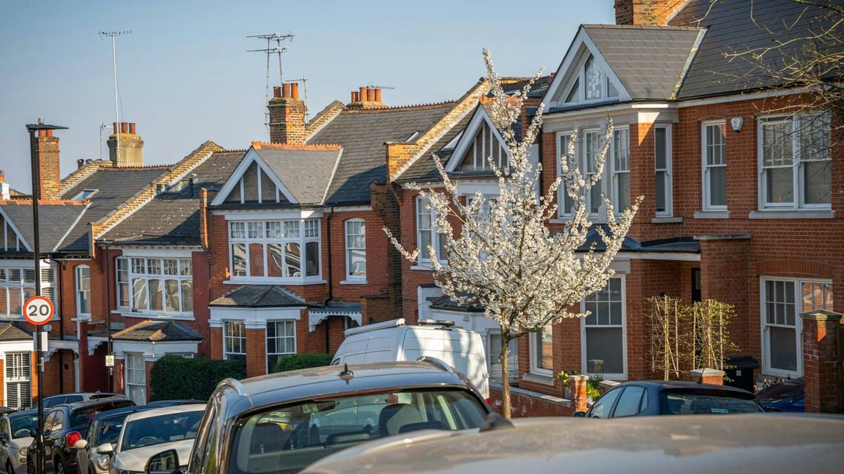 A London street of red-brick Edwardian houses with a white van and cars parked outside and a tree in white blossom