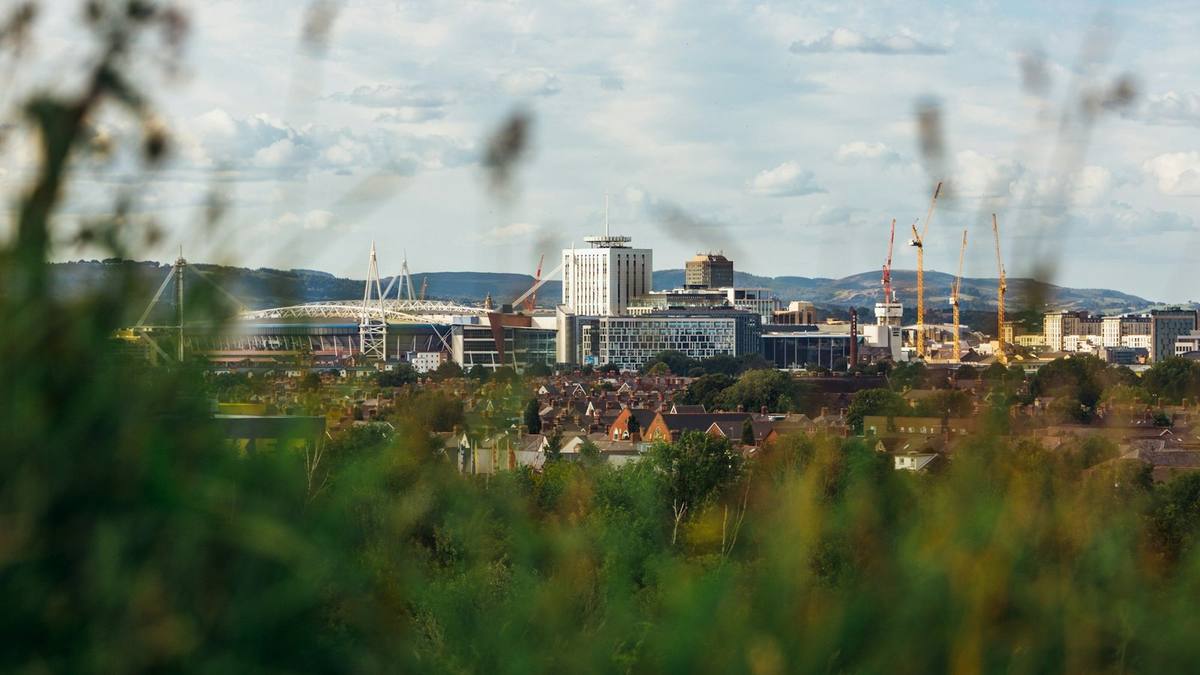 The Cardiff skyline and its stadium seen across rooftops on a bright day