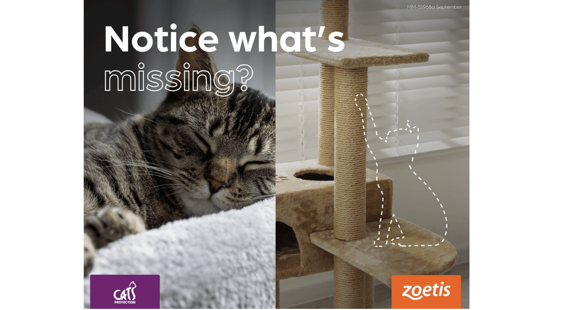London Pet Owners Could Overlook Subtle Signs of Pain in Their Pets, New Research Reveals