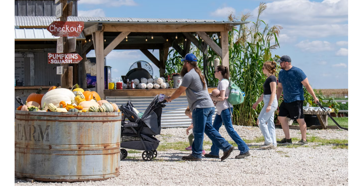 Europe's Largest Pumpkin Festival Welcomes Record Visitors Following Major Expansion