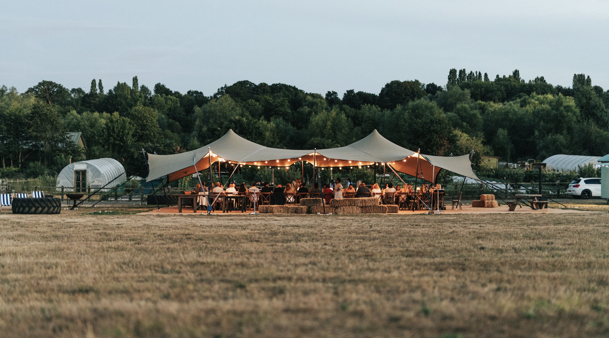 Roots Goes Wild: A Night in the Woods with Mel Brown at Tewinbury Farm