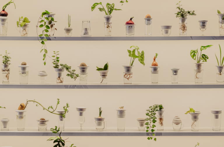 Alicja Patanowska creates ‘Plantation’, the first artist installation for the urban farmer project in London’s Fleet Street quarter